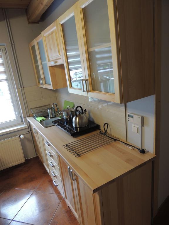 Apartament Suzyw Kicek 贝斯基德地区苏哈 外观 照片